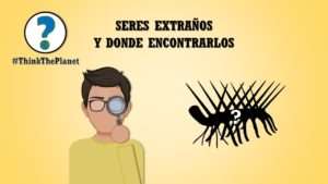 Portada Hallucigenia