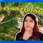 miniatura youtube ecoistemas