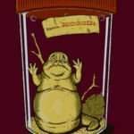 especie, star wars, jabba, ciencia, gracioso, divertida, coleccionista, bicho, insecto, gusano, oruga, biología