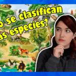 ¿Quieres saber cómo se clasifican las especies? Pincha aquí