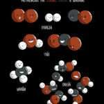 átomo, ciencia, divertido, gracioso, relaciones, humor, moléculas, átomos, tríos, parejas, orgías, química, biología