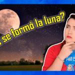 ¿Cómo llegó ahí?