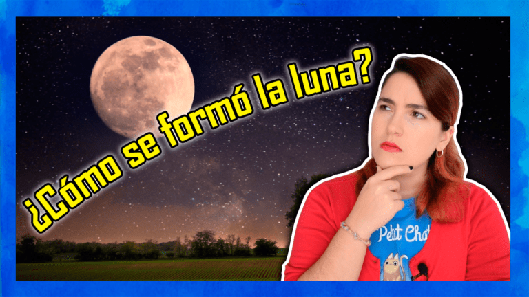 ¿Cómo llegó ahí?