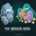 star wars, immune, células, leucocitos, patógenos, bacteria, virus, guerra, gracioso, ciencia, divertido