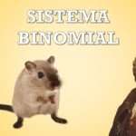 Sistema Binomial