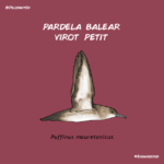 virot_petit_pelopanton