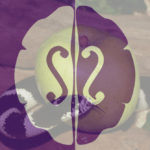 Podcast: La importancia de la divulgación Mi bilis es tu bilis S de Stendhal