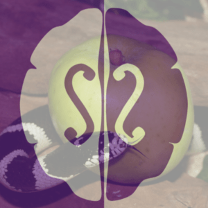 Podcast: La importancia de la divulgación Mi bilis es tu bilis S de Stendhal