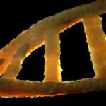 A Ciencia Cierta Secuenciando el ADN y sus aplicaciones