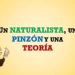 Portada - Evolución 3ª Parte