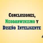 Conclusiones de la evolucion