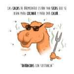 ciencia, divertida, curiosidad, dromedarios, caca, combustible, heces, calor, cocinar, dibujo, ilustración