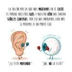 ciencia, divertida, curiosidad, ilustración, dibujo, ojos, oído, señales. cerebro, mareo, coche