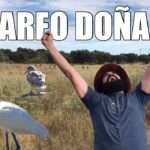 biodiversidad, fauna salvaje, naturaleza, Doñana