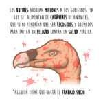 buitre, ciencia, ilustración, carroñero, animal, dinero, ahorro