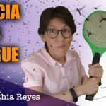Combate al dengue