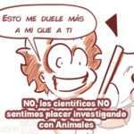 experimentación animal realidad