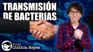 transmisión de bacterias en el saludo