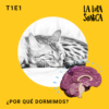 Por qué dormimos - La Lupa Sónica Podcast ciencia para niños
