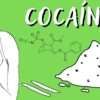 que es la cocaina