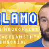 ¿Qué es el tálamo?, ¿cuál es la función del tálamo?