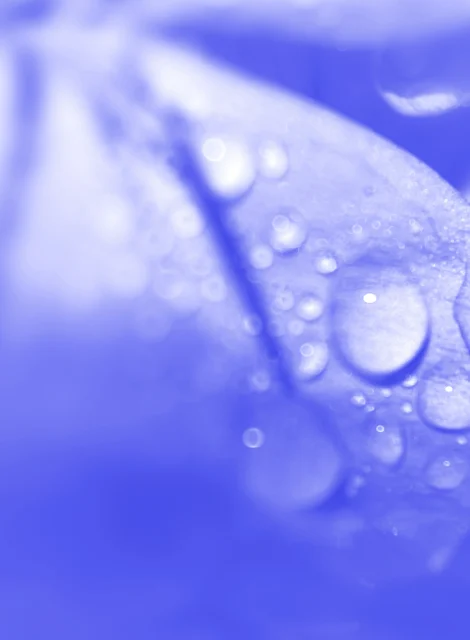 Gotas de agua sobre una superficie azul